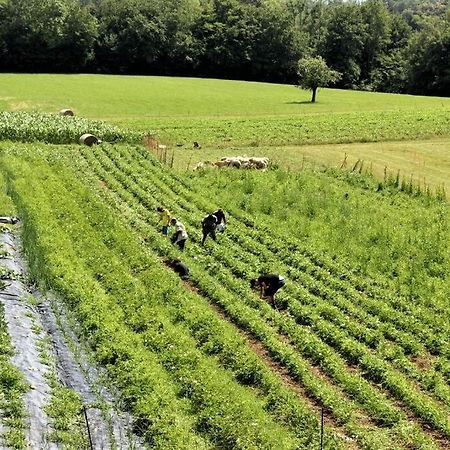 Double Bedroom, Kitchen, Bathroom In Organic Farm ベッルーノ エクステリア 写真