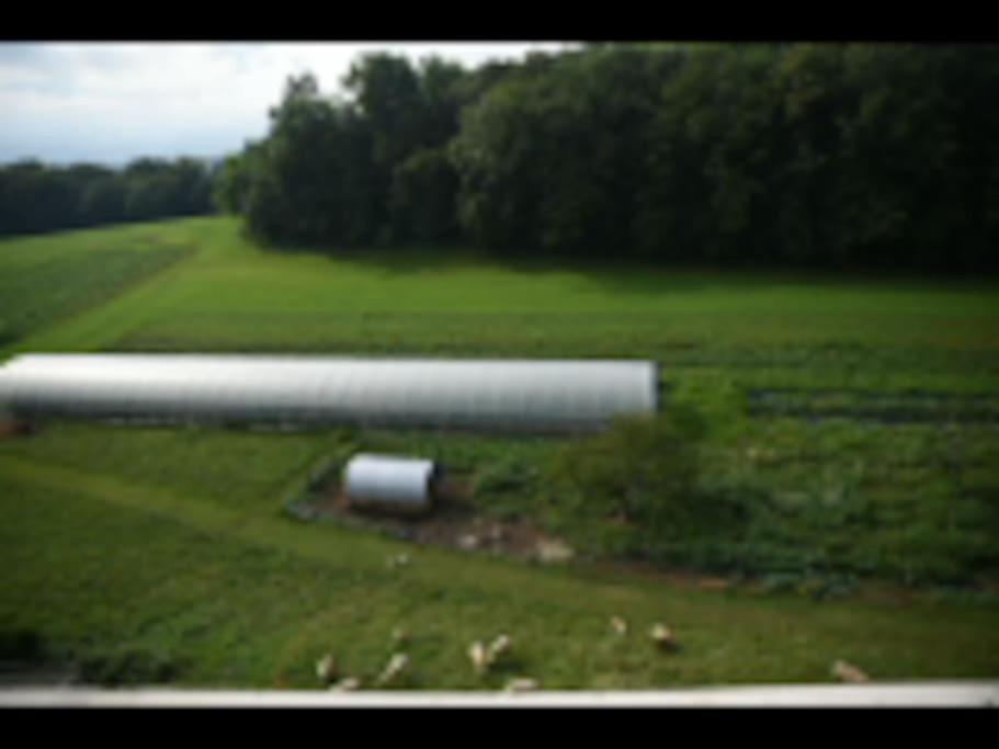 Double Bedroom, Kitchen, Bathroom In Organic Farm ベッルーノ エクステリア 写真