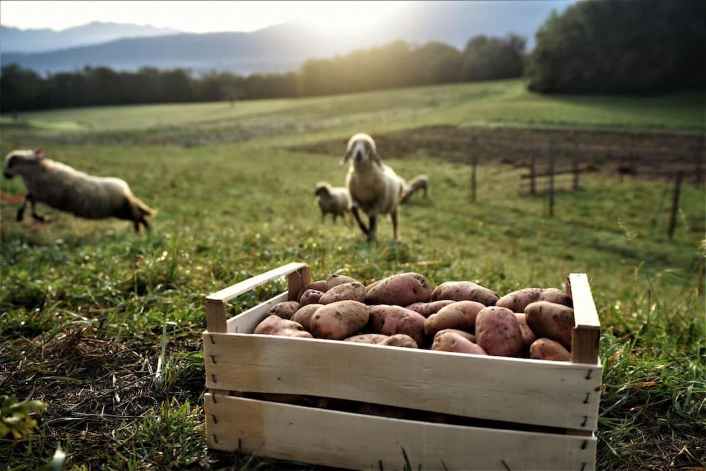 Double Bedroom, Kitchen, Bathroom In Organic Farm ベッルーノ エクステリア 写真