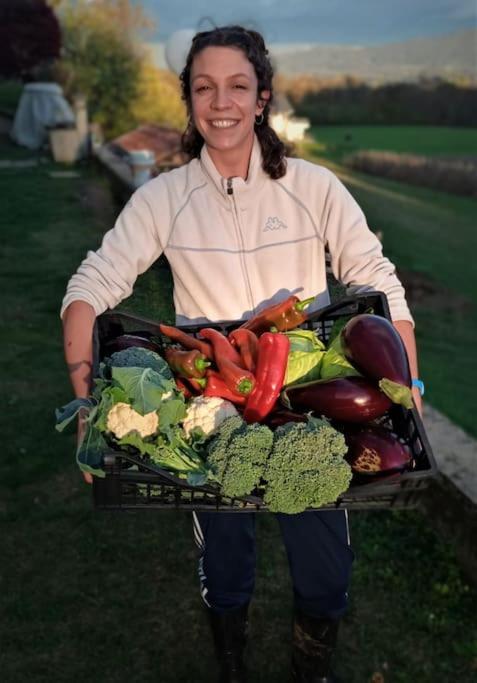 Double Bedroom, Kitchen, Bathroom In Organic Farm ベッルーノ エクステリア 写真