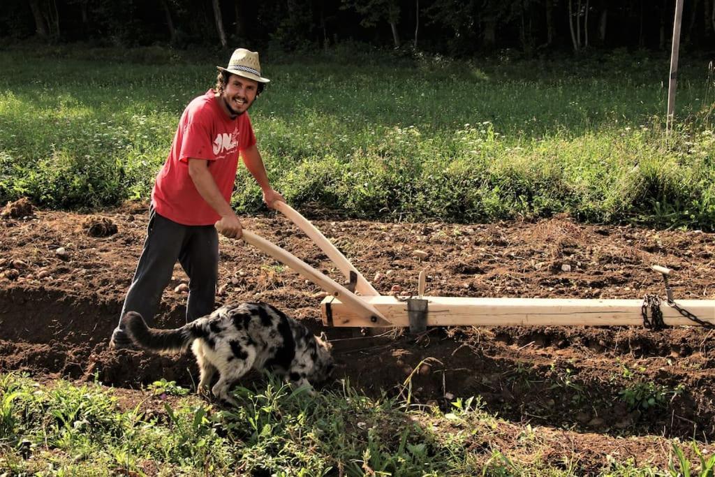 Double Bedroom, Kitchen, Bathroom In Organic Farm ベッルーノ エクステリア 写真