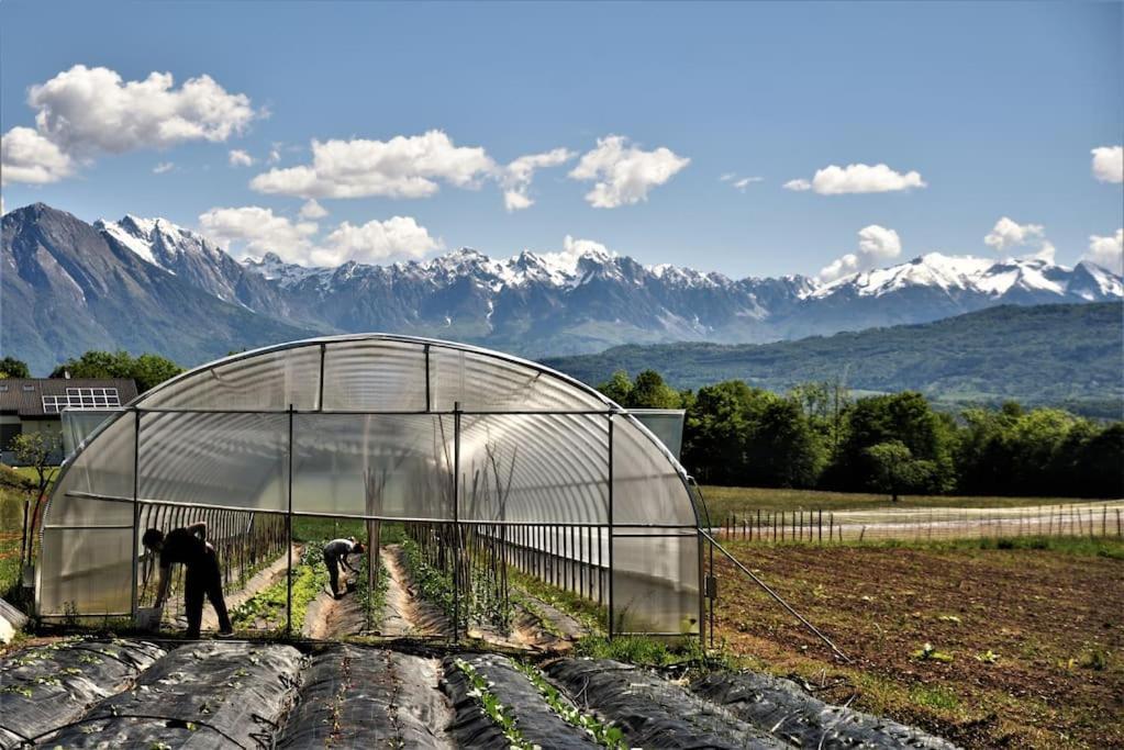 Double Bedroom, Kitchen, Bathroom In Organic Farm ベッルーノ エクステリア 写真